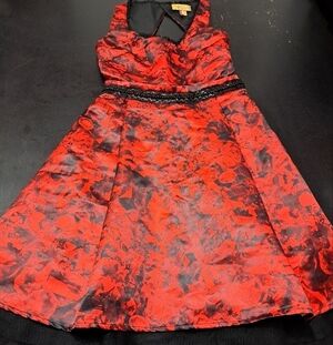 Princess Vera Wang Sorority Rush Dress With Tulle  Size 0